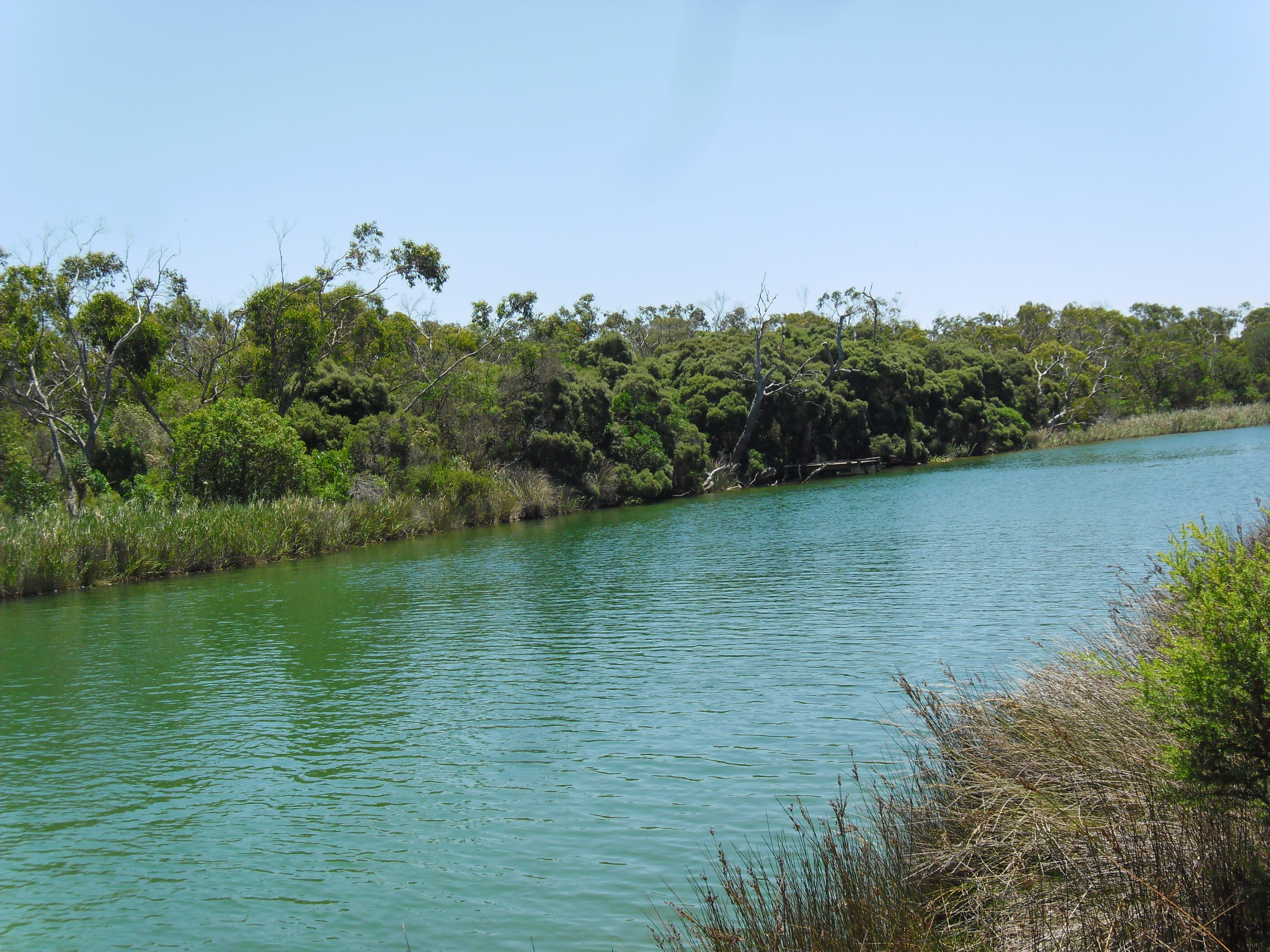 anglesea river 1