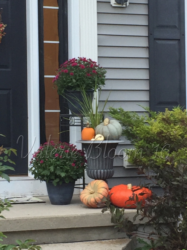 Finally getting around to some fall decorating