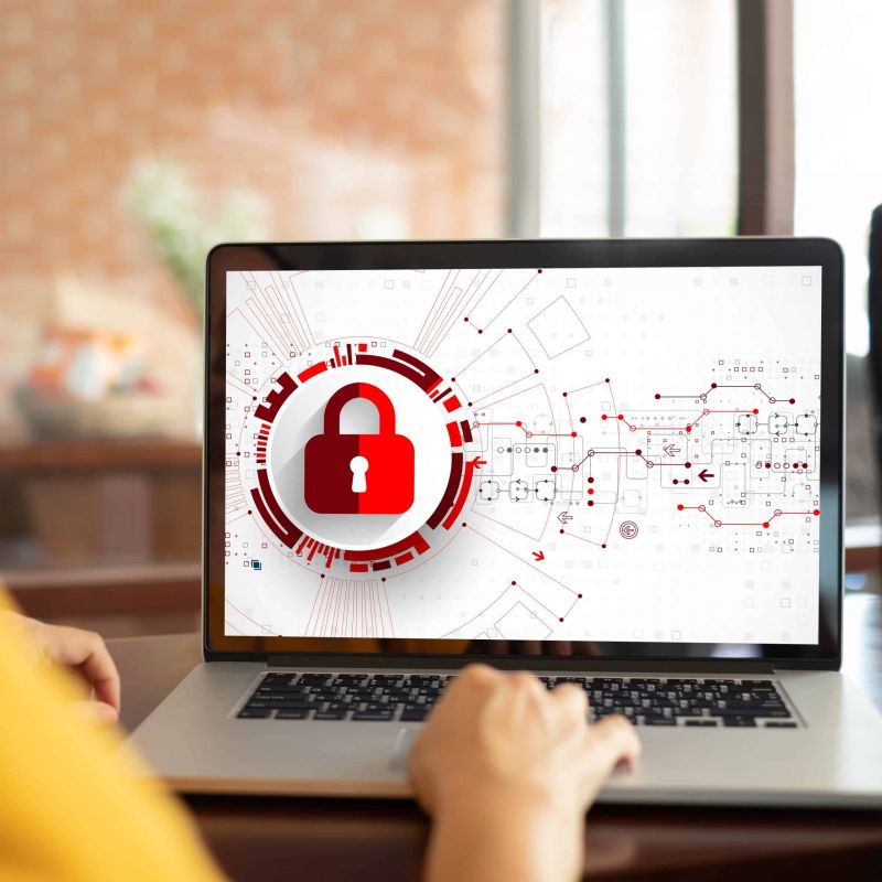 Lead Validation Services Everything You Need To Know - Classic Full HD Nature Textures | Free Download