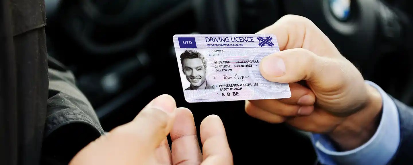 provisional drivers licence