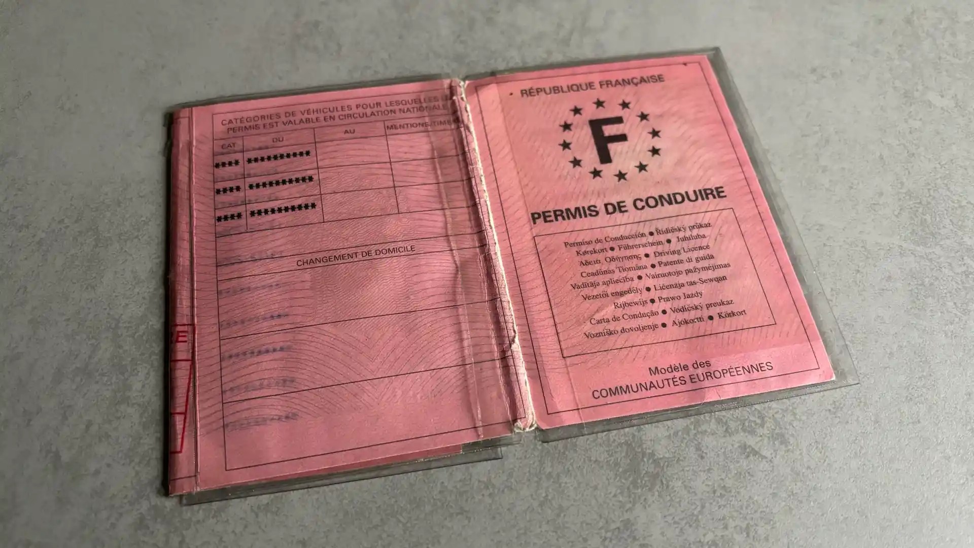 what does an automatic driving licence look like