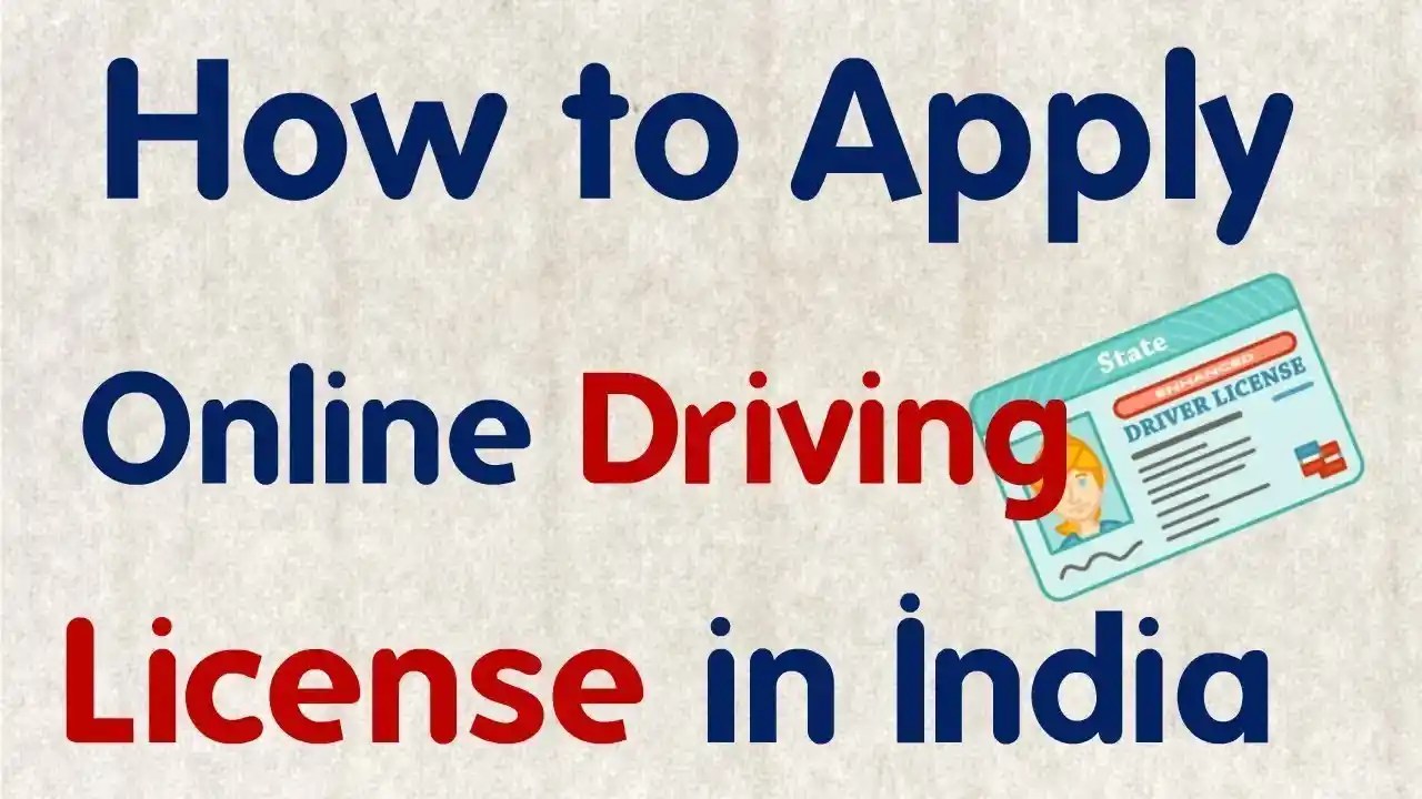 fake driving licence