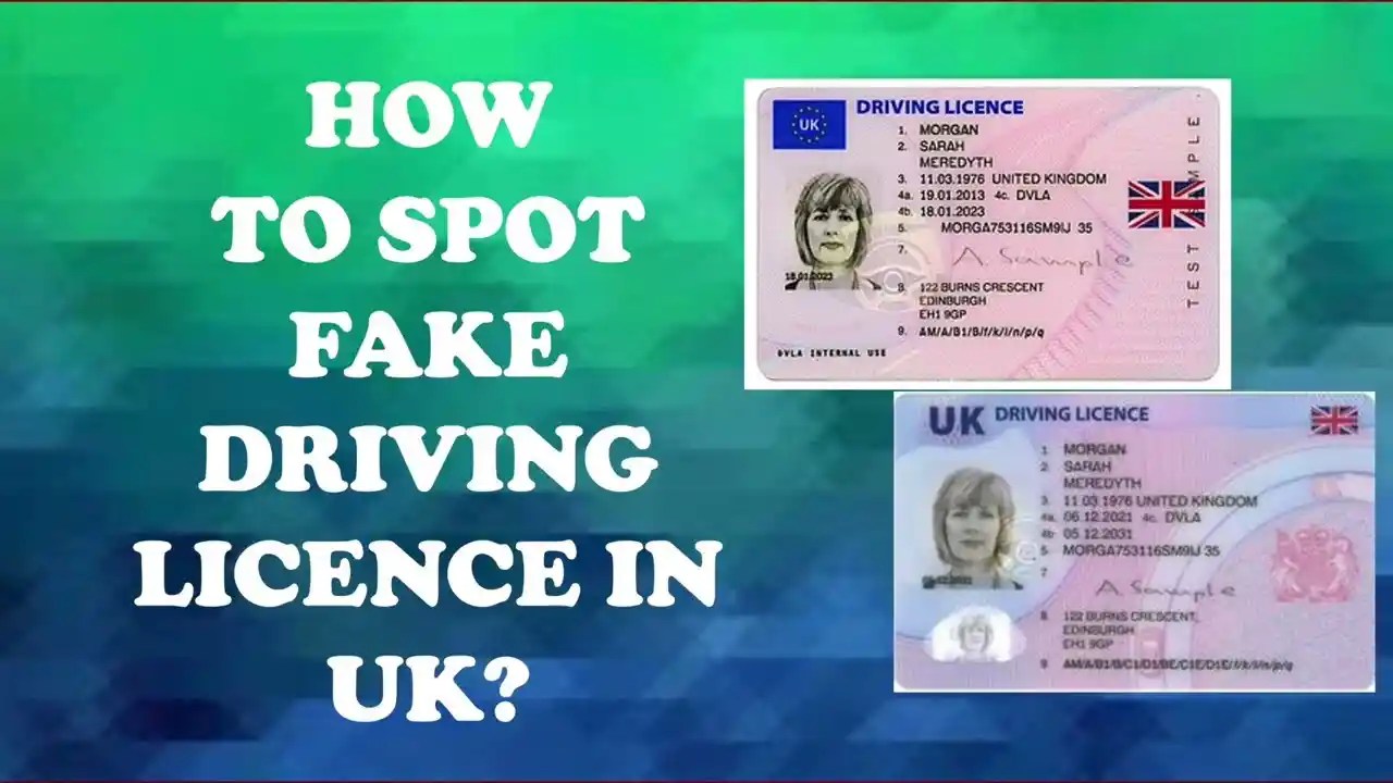 fake driving licence