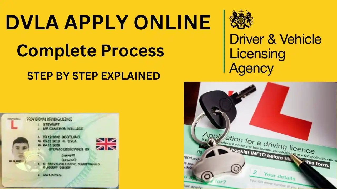 Blank UK Driving Licence