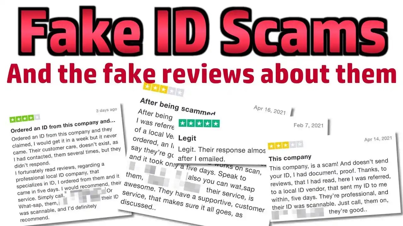 fake Irish driving licence