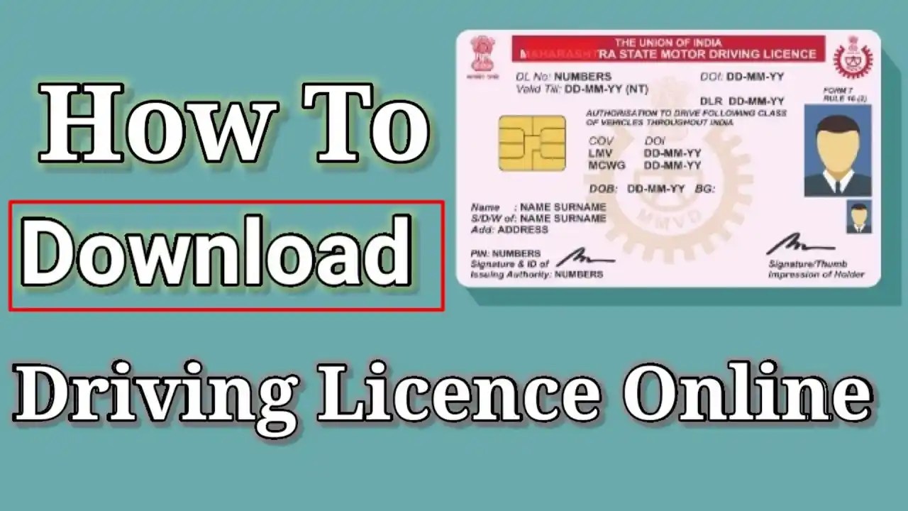 fake uk drivers licence