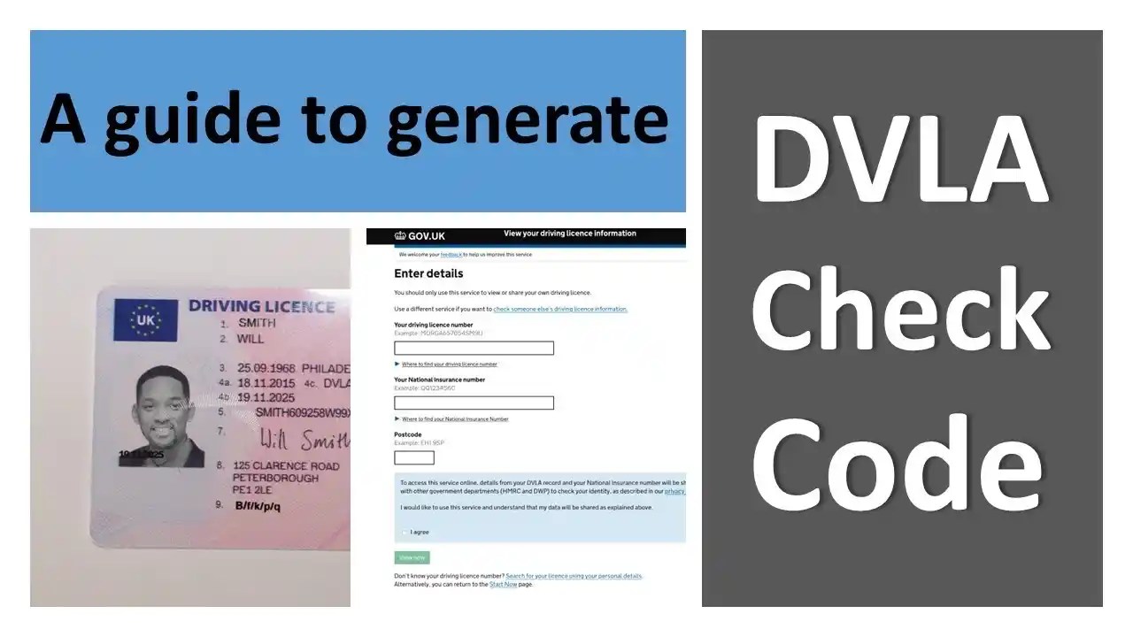driving licence codes