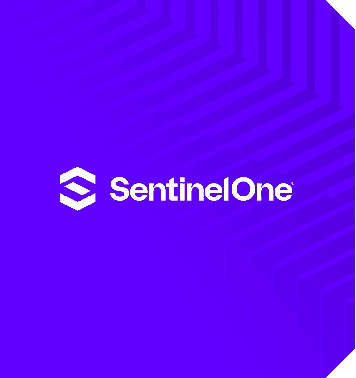 Cyber Security Vallem