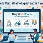 OnlyWorkMoods Com