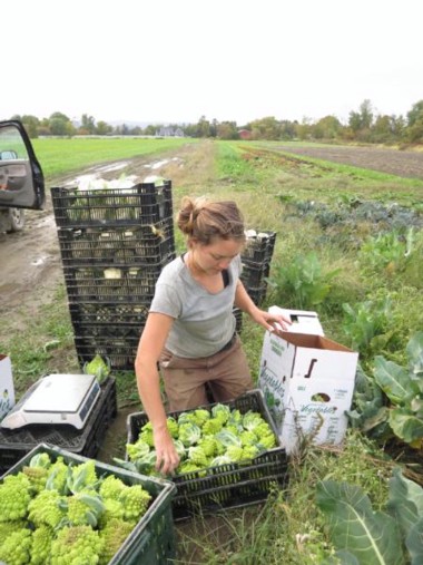 Caroline pam and tim wilcox started the farm in 2006 on 1 acre of rented land, and have. Scene Here The Kitchen Garden Farm