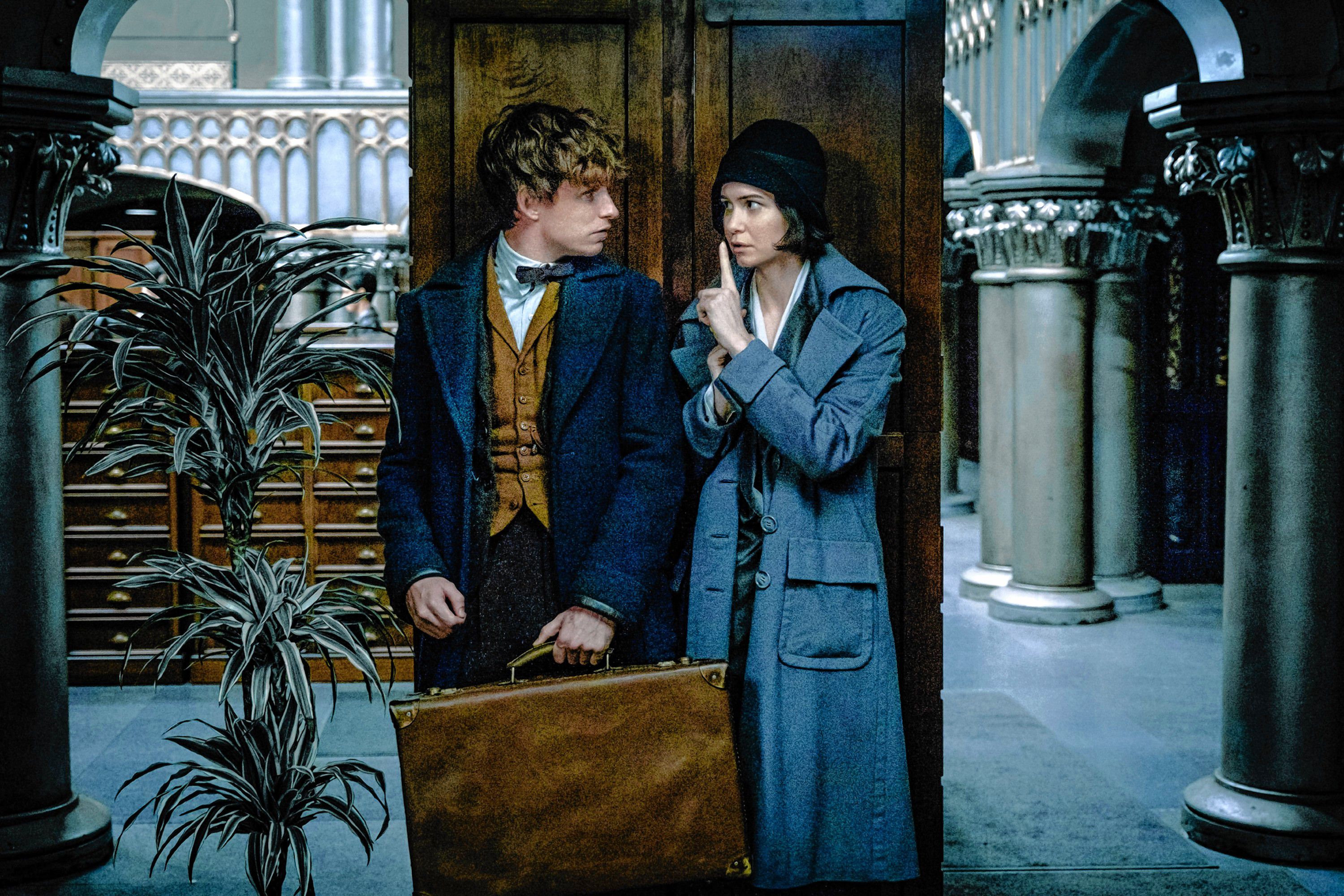 "Fantastic Beasts and Where to Find Them." Image courtesy of Warner Bros.