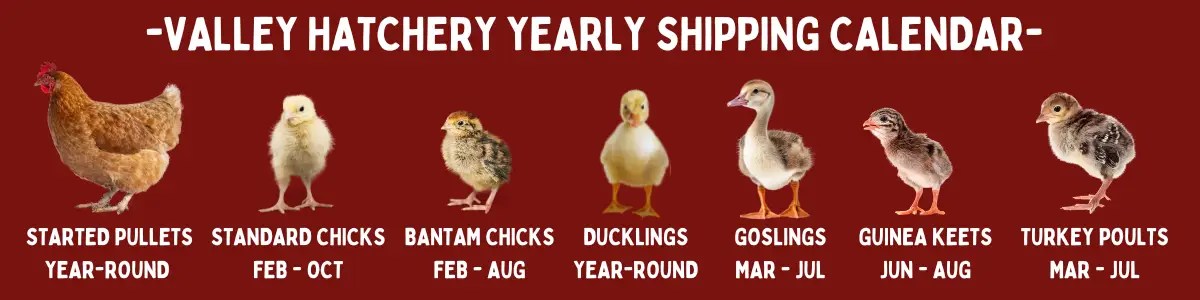 Updated Hatch Calendar