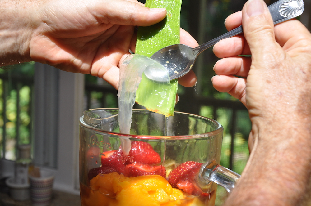 Aloe Smoothie | Health & Wellness Maui | Maui Fruits | Local Fruit Smoothies