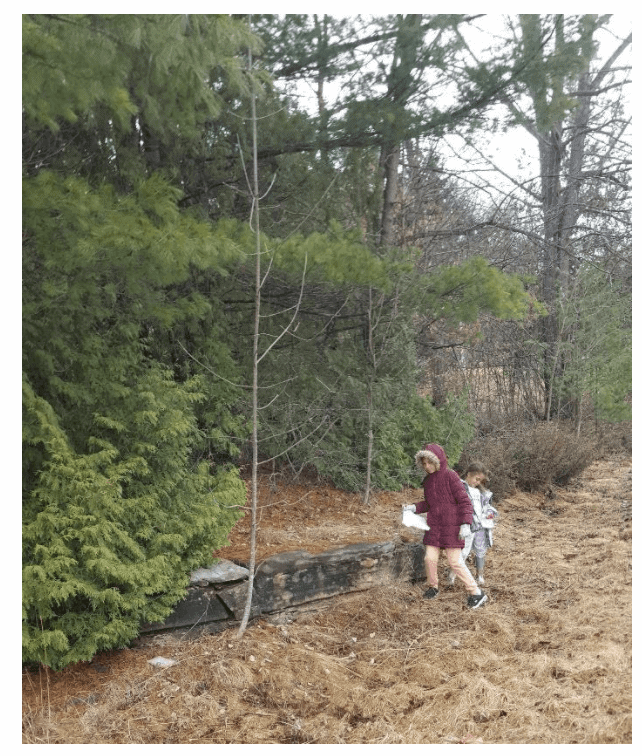 Exploring Valley Microscope - Download Classic Vintage Wallpaper | Desktop