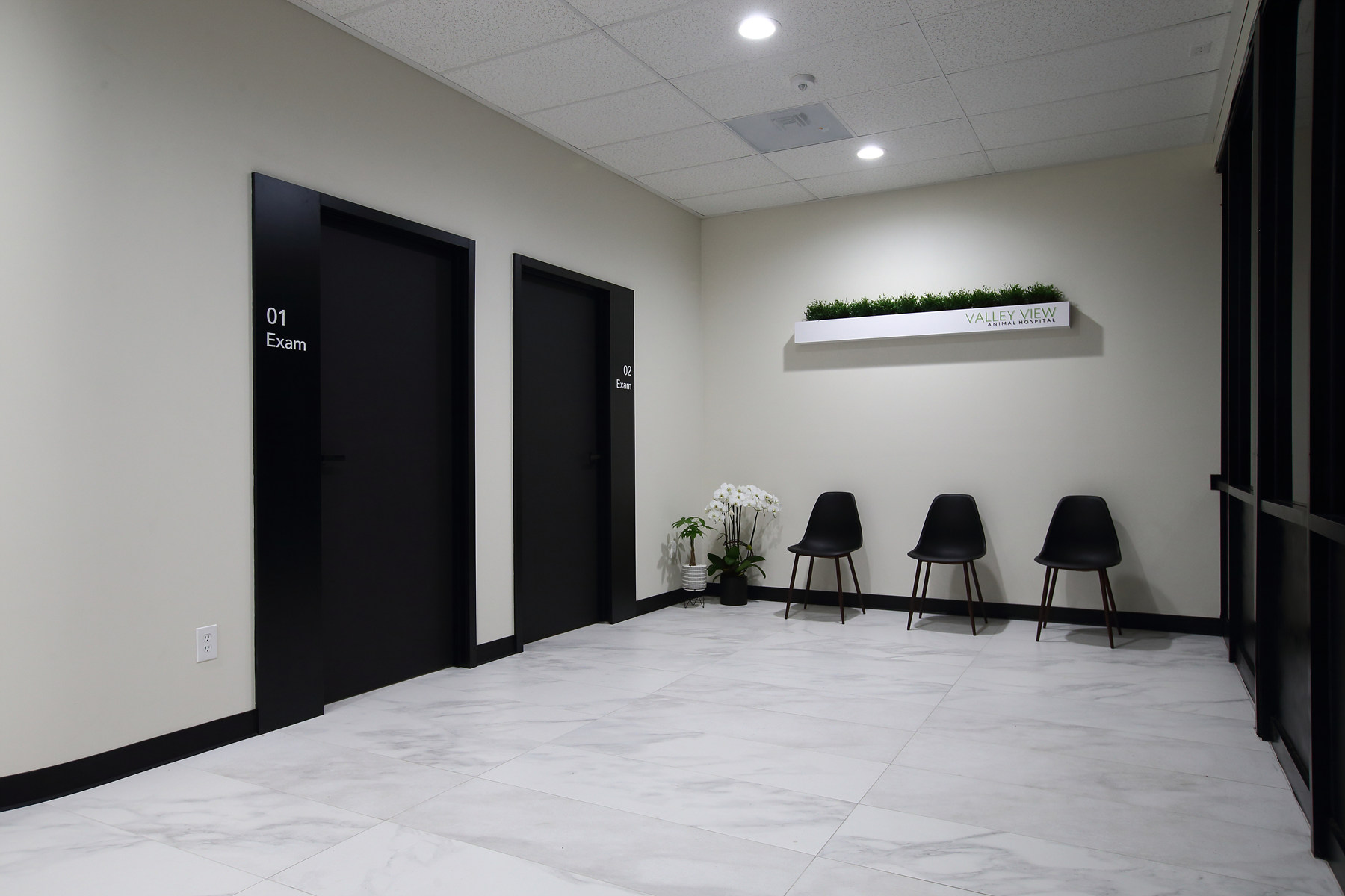 Valley view animal hospital