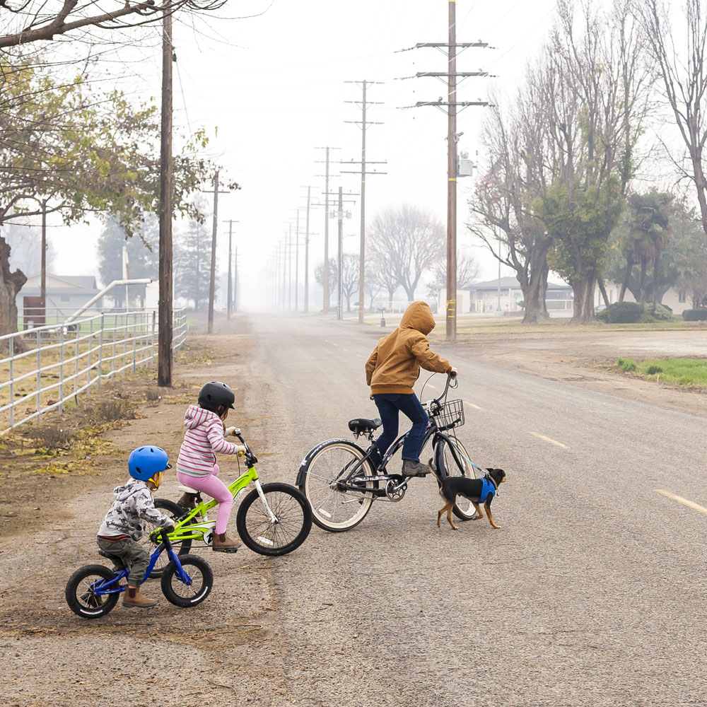 Bikes, cows, horses and quads to bring in the New Year
