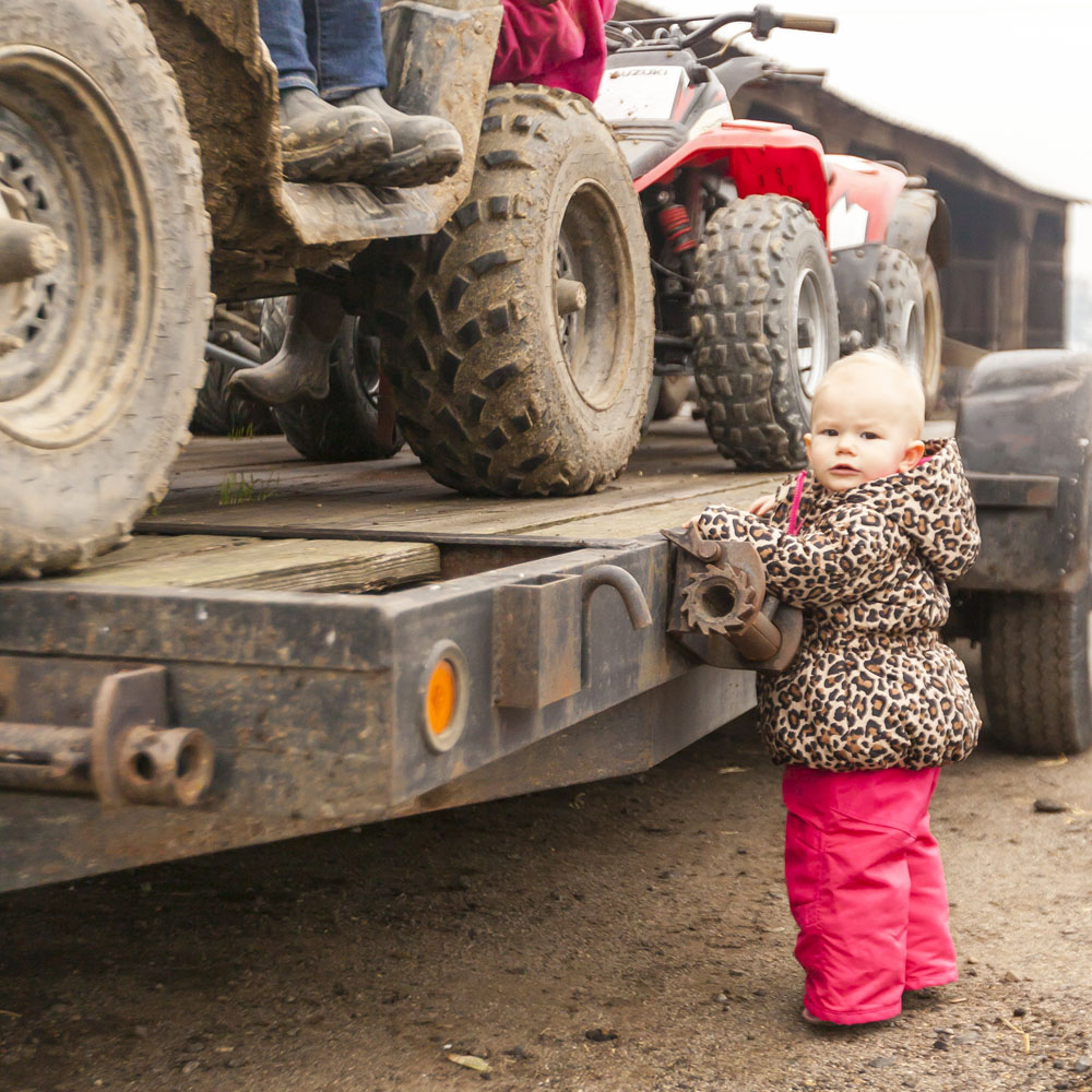 Bikes, cows, horses and quads to bring in the New Year
