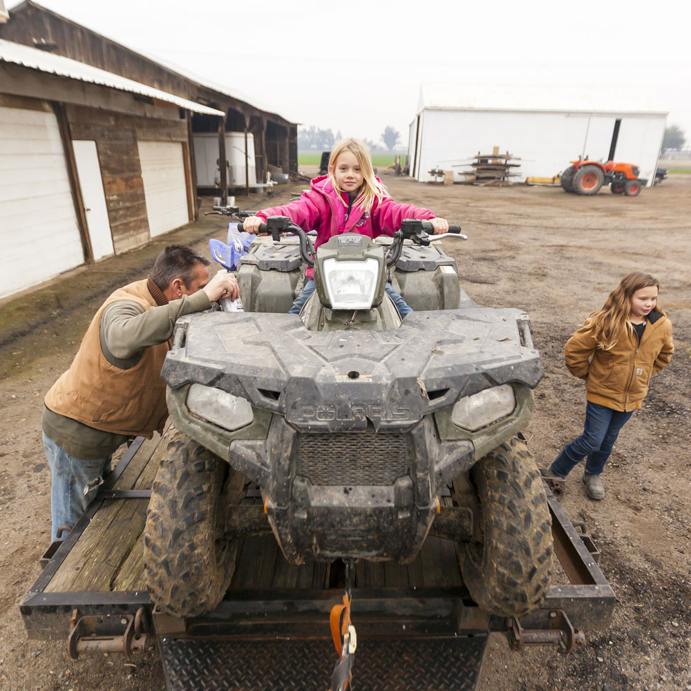 Bikes, cows, horses and quads to bring in the New Year