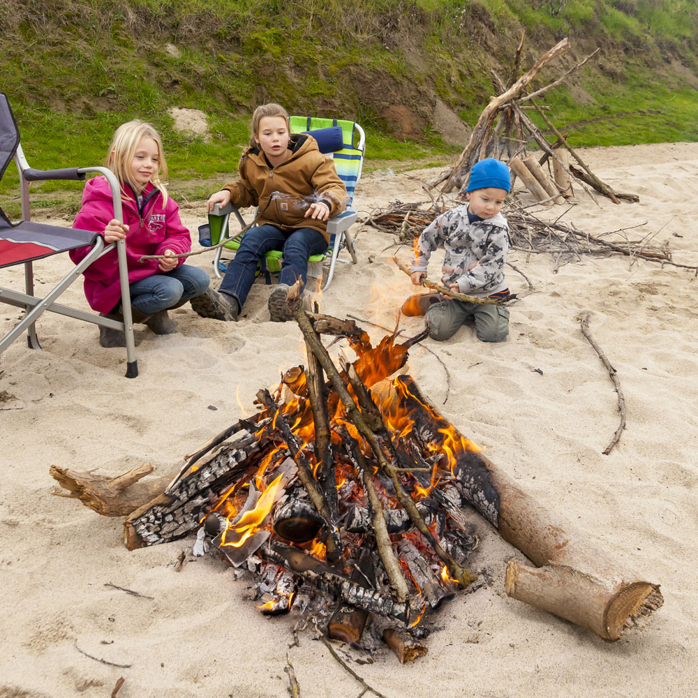 Bikes, cows, horses and quads to bring in the New Year