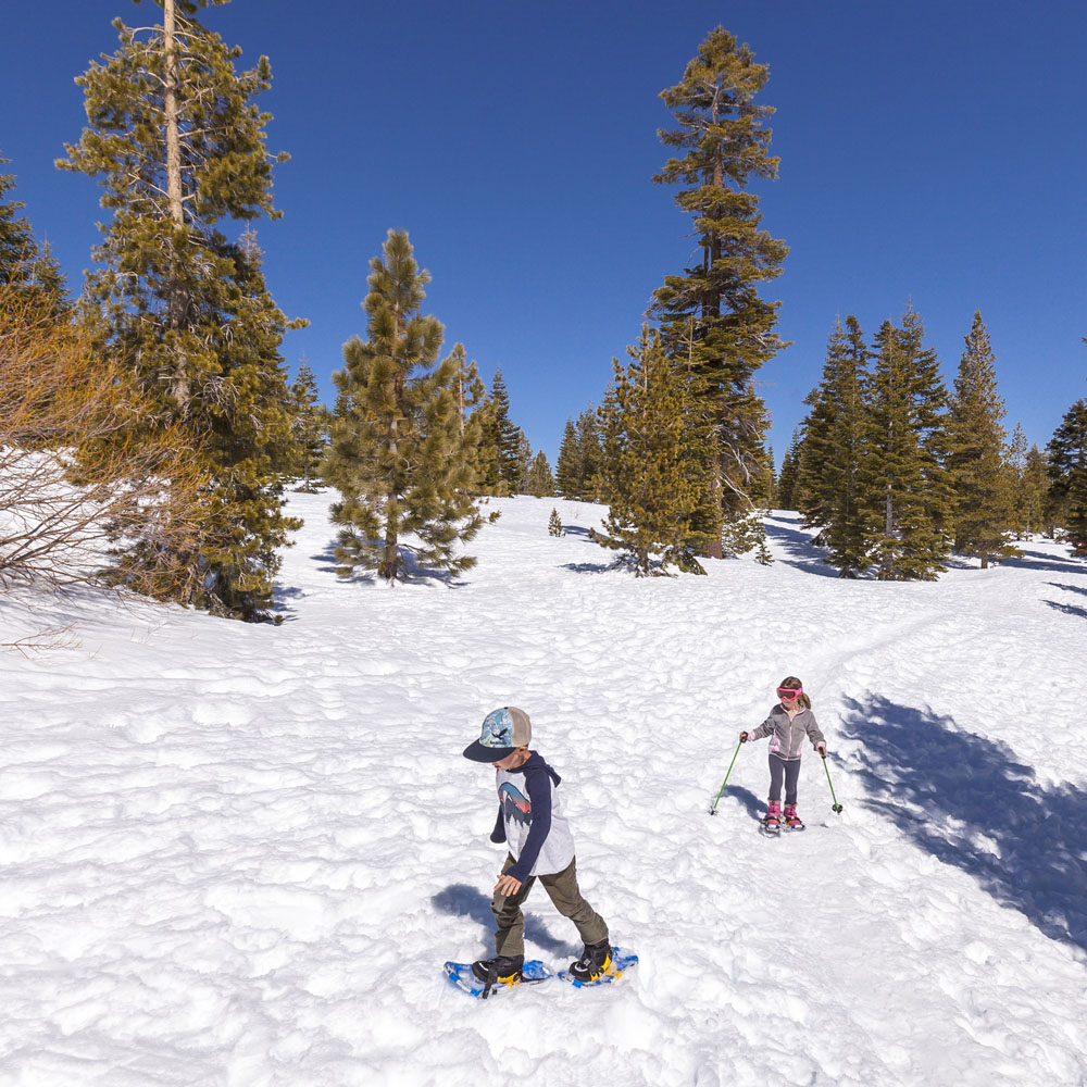 Snowshoeing to Glacier Point