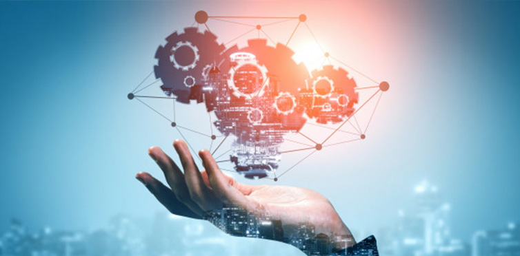 Information technology project management