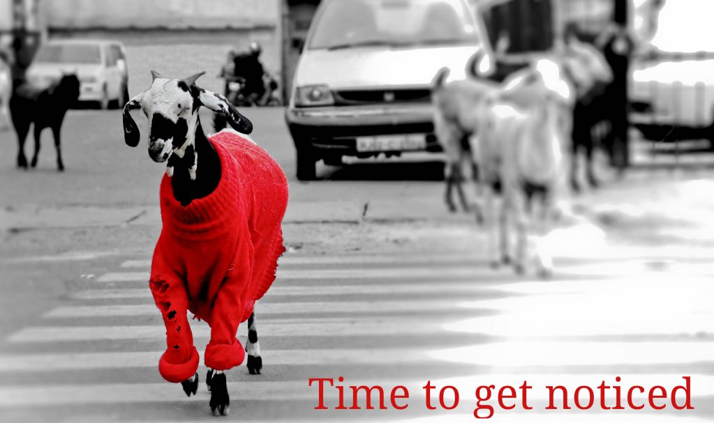 Growing a consultancy is hard without being noticed