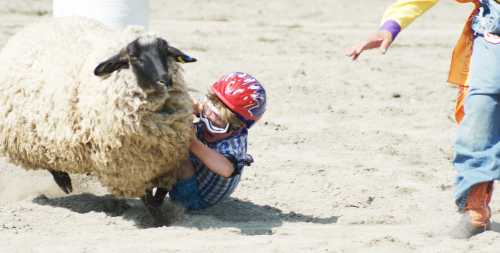 Running from a Rodeo Bull