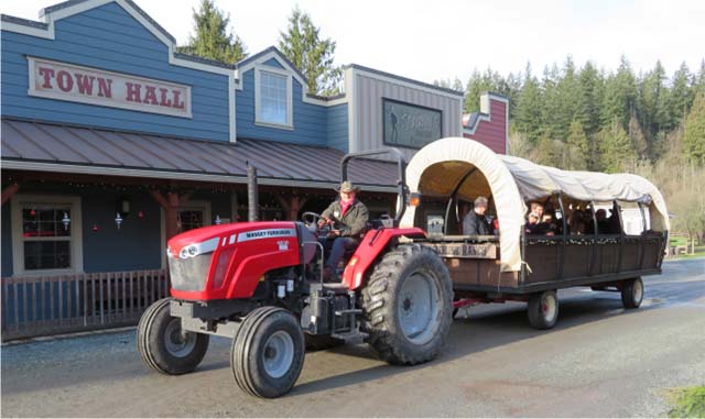 Timberline Country Christmas