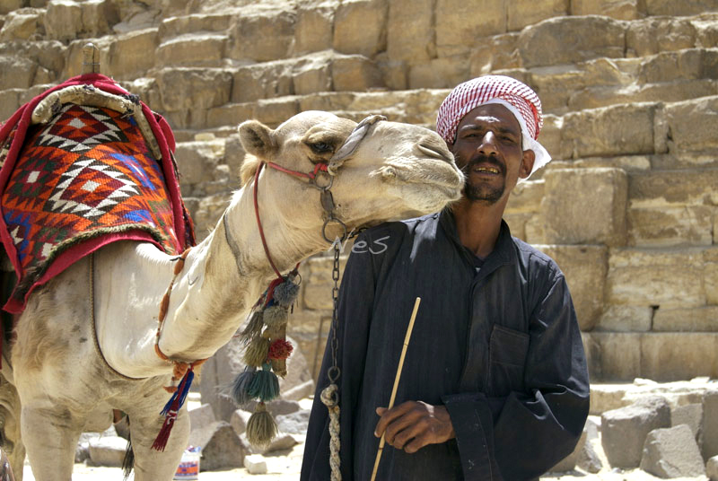 Sur les traces des pharaons