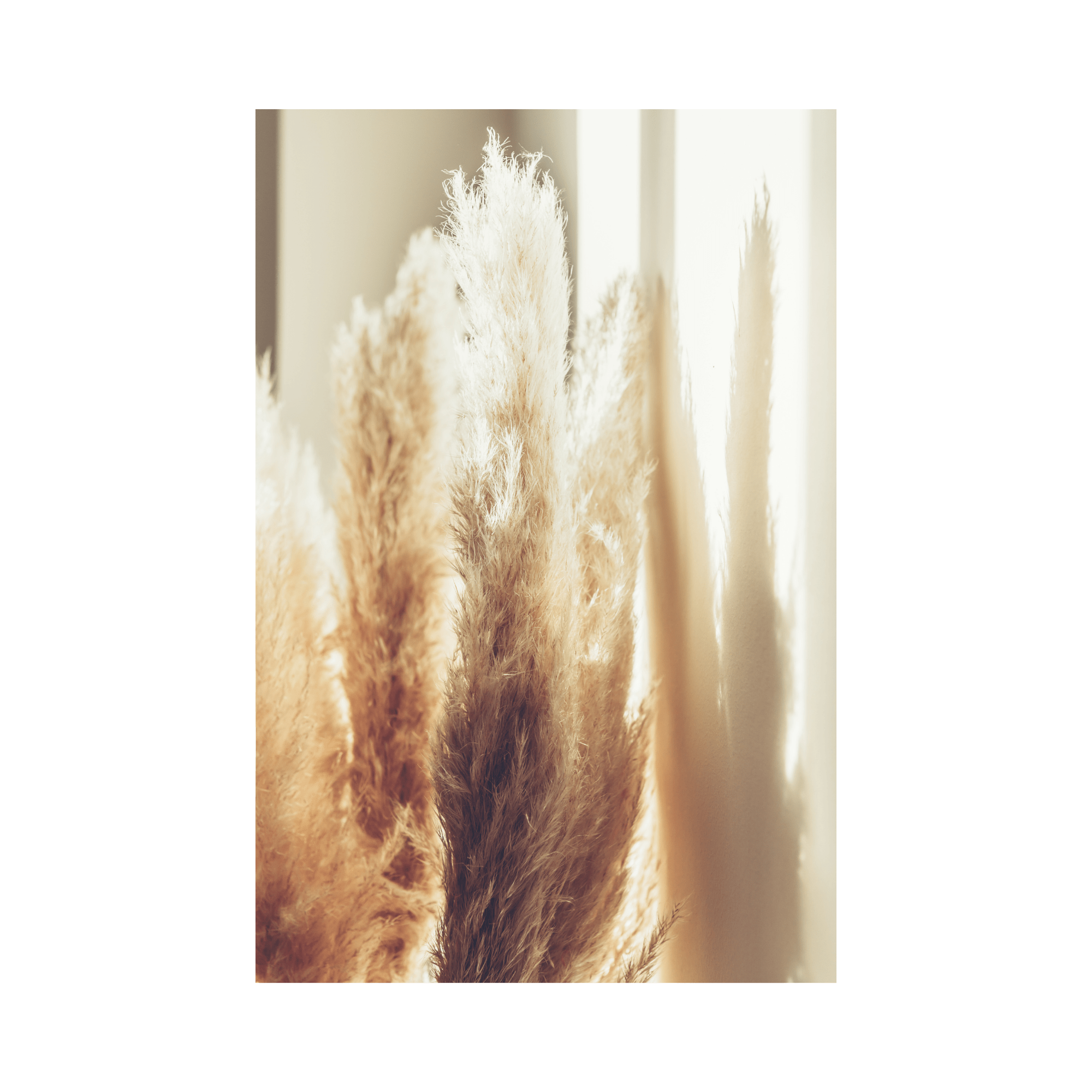 Untitled design-4