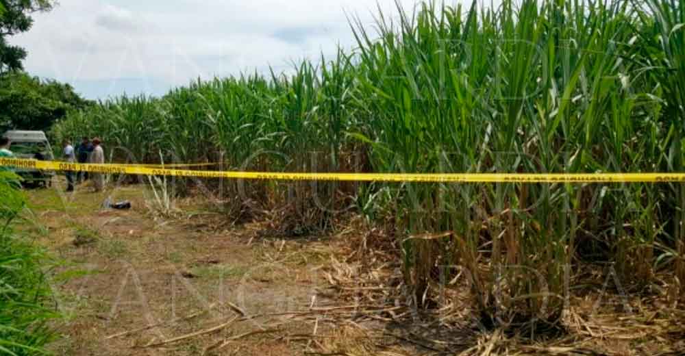 Encuentran restos humanos cerca de la zona de fosas clandestinas, en Ixtaczoquitlán
