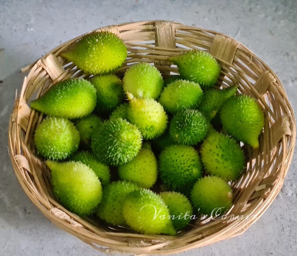 Kantola