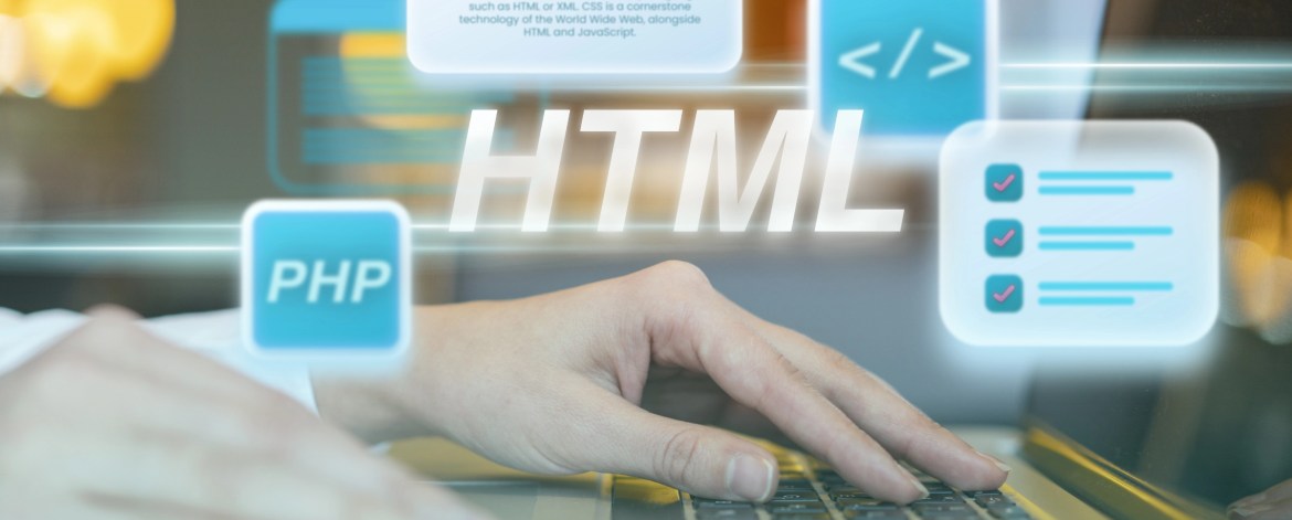 wordpress website