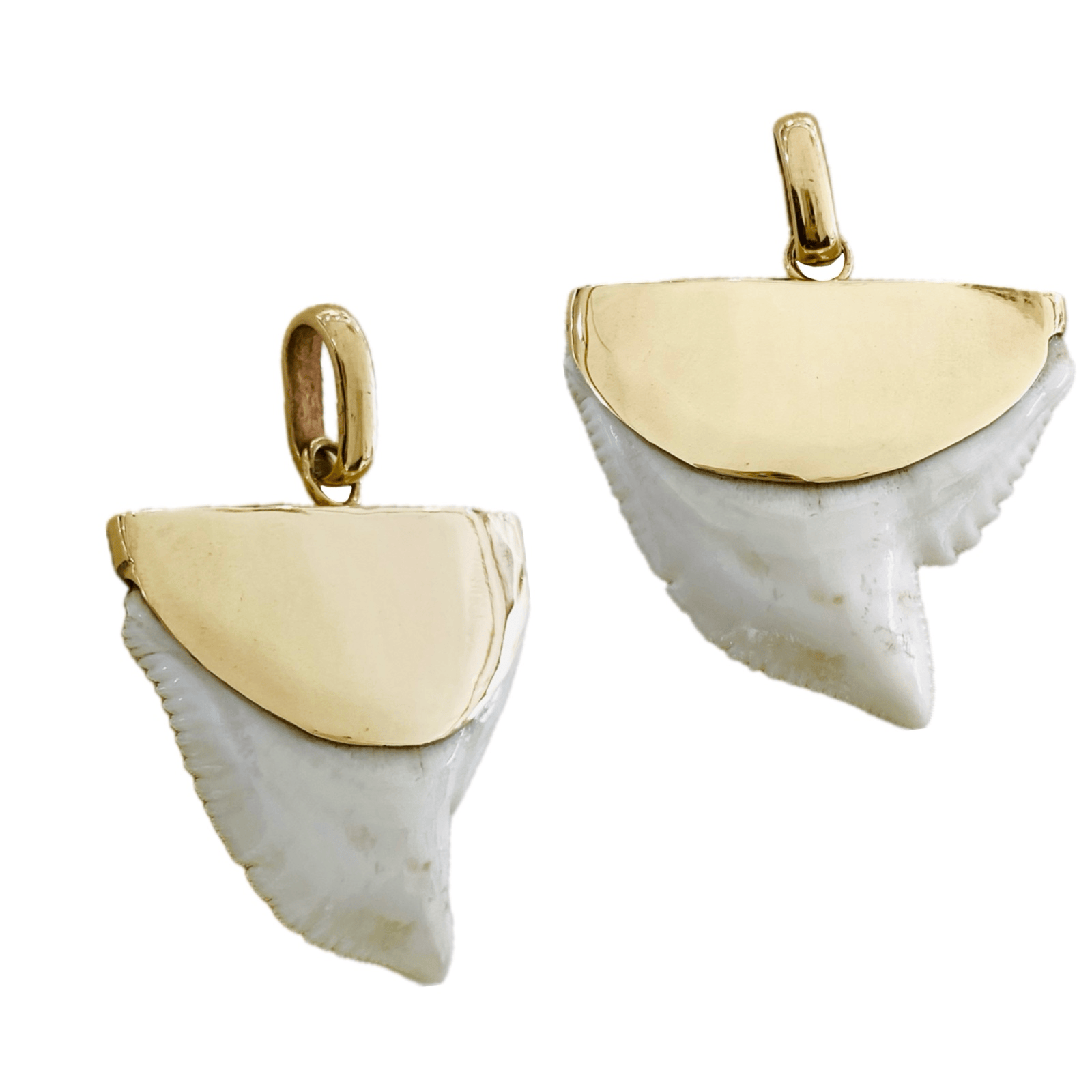 Shark Tooth Pendant, 9K Gold, Large