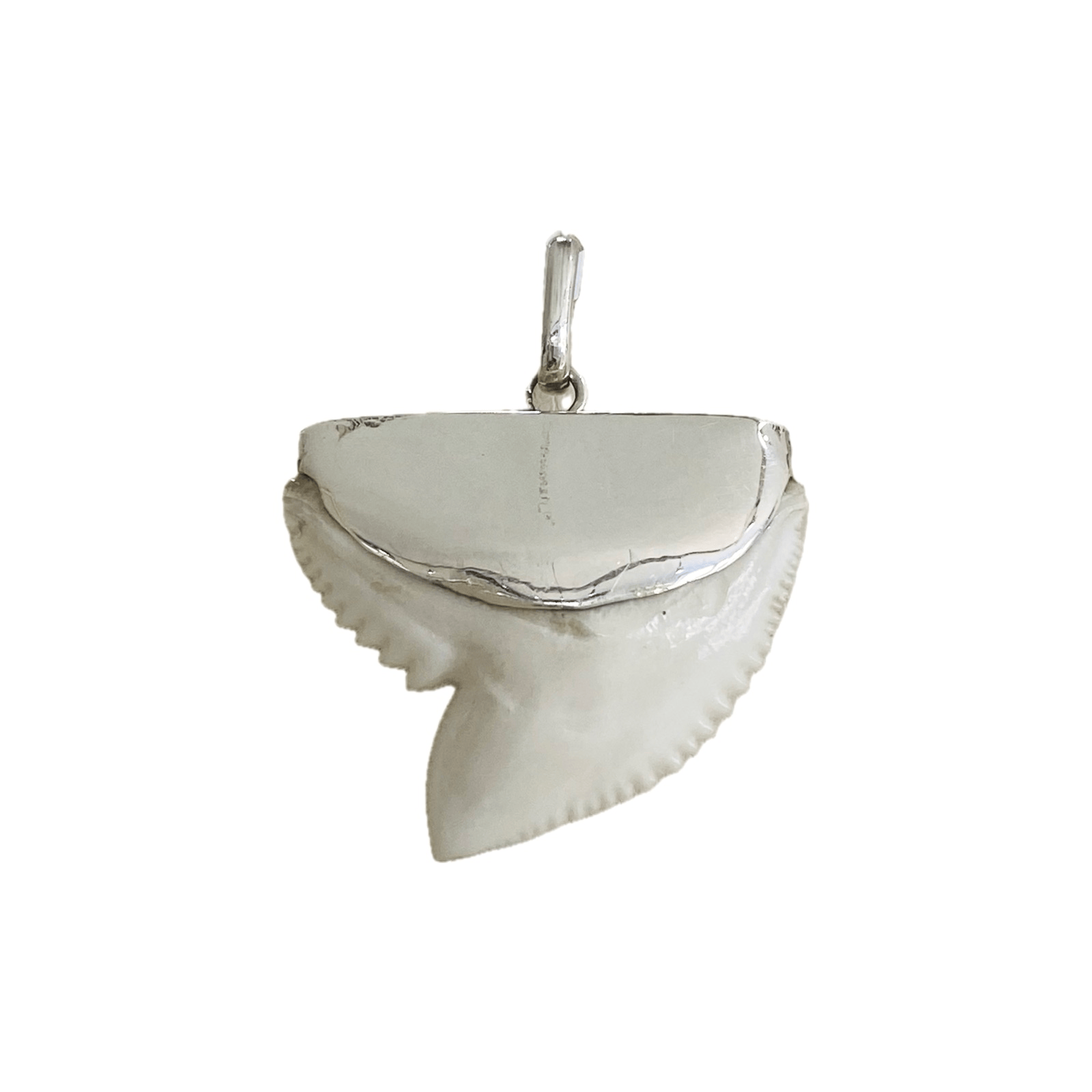 Shark Tooth Pendant, Sterling Silver, Large
