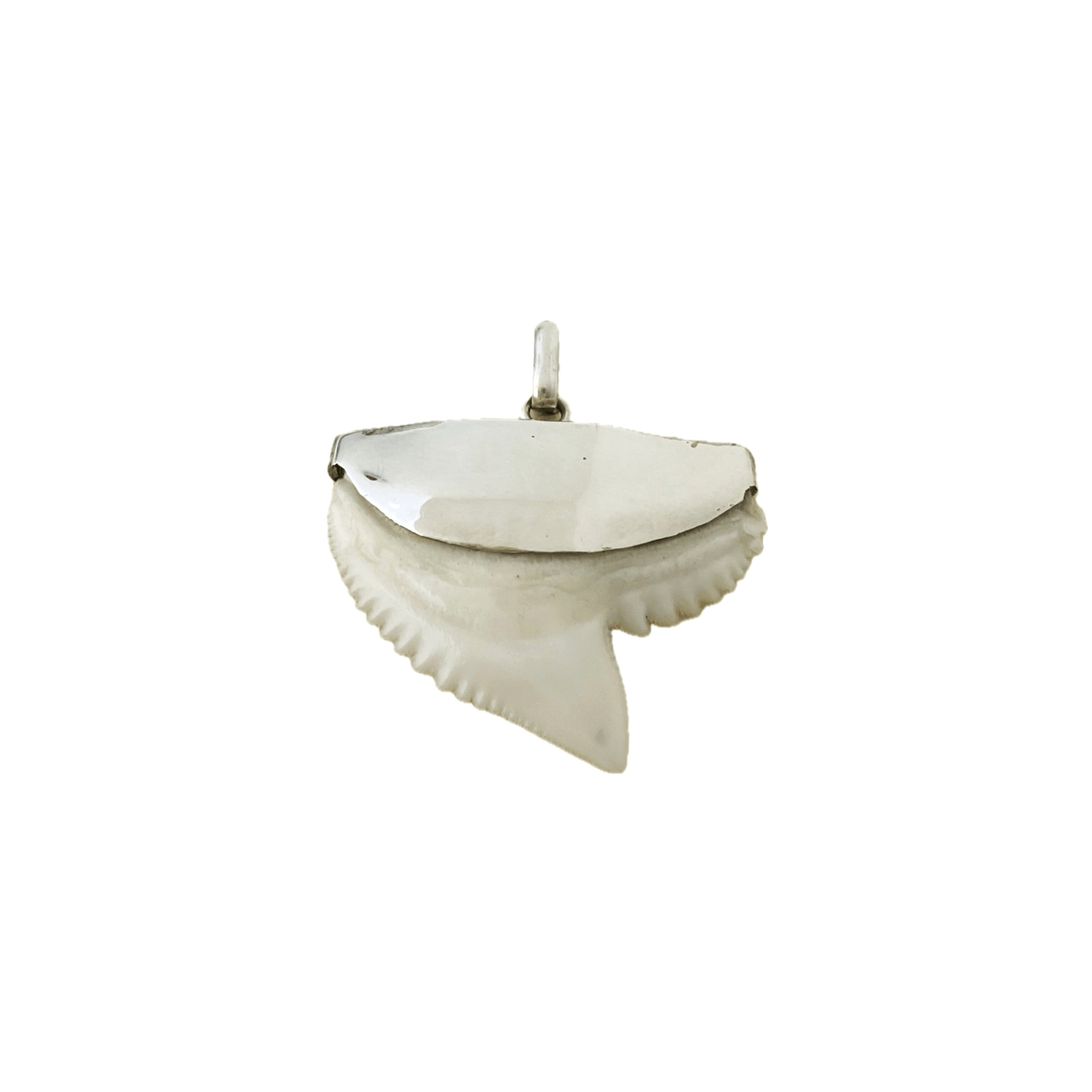 Shark Tooth Pendant, Sterling Silver, Medium