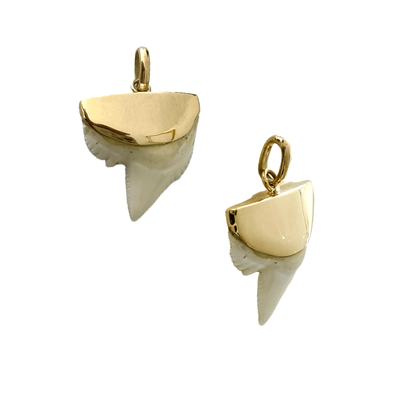 Shark Tooth Pendant, 9K Gold, Small