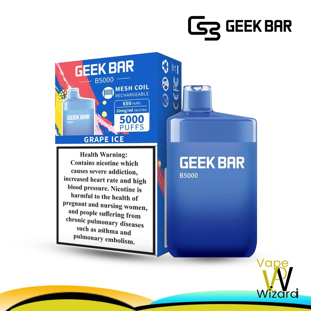 GRAPE ICE GEEK BAR B5000