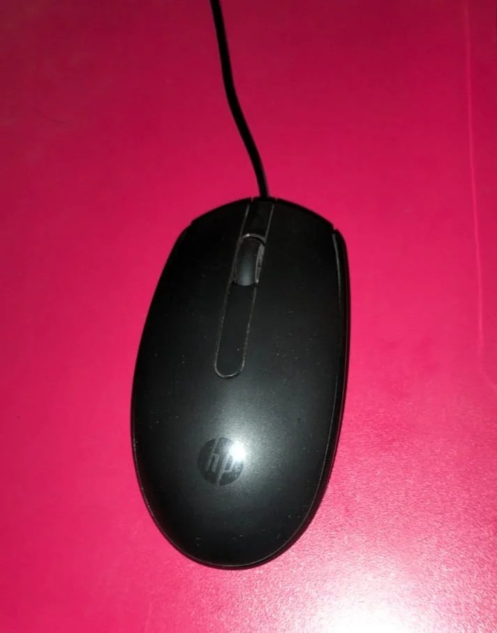 Mouse Image Varanasi Best