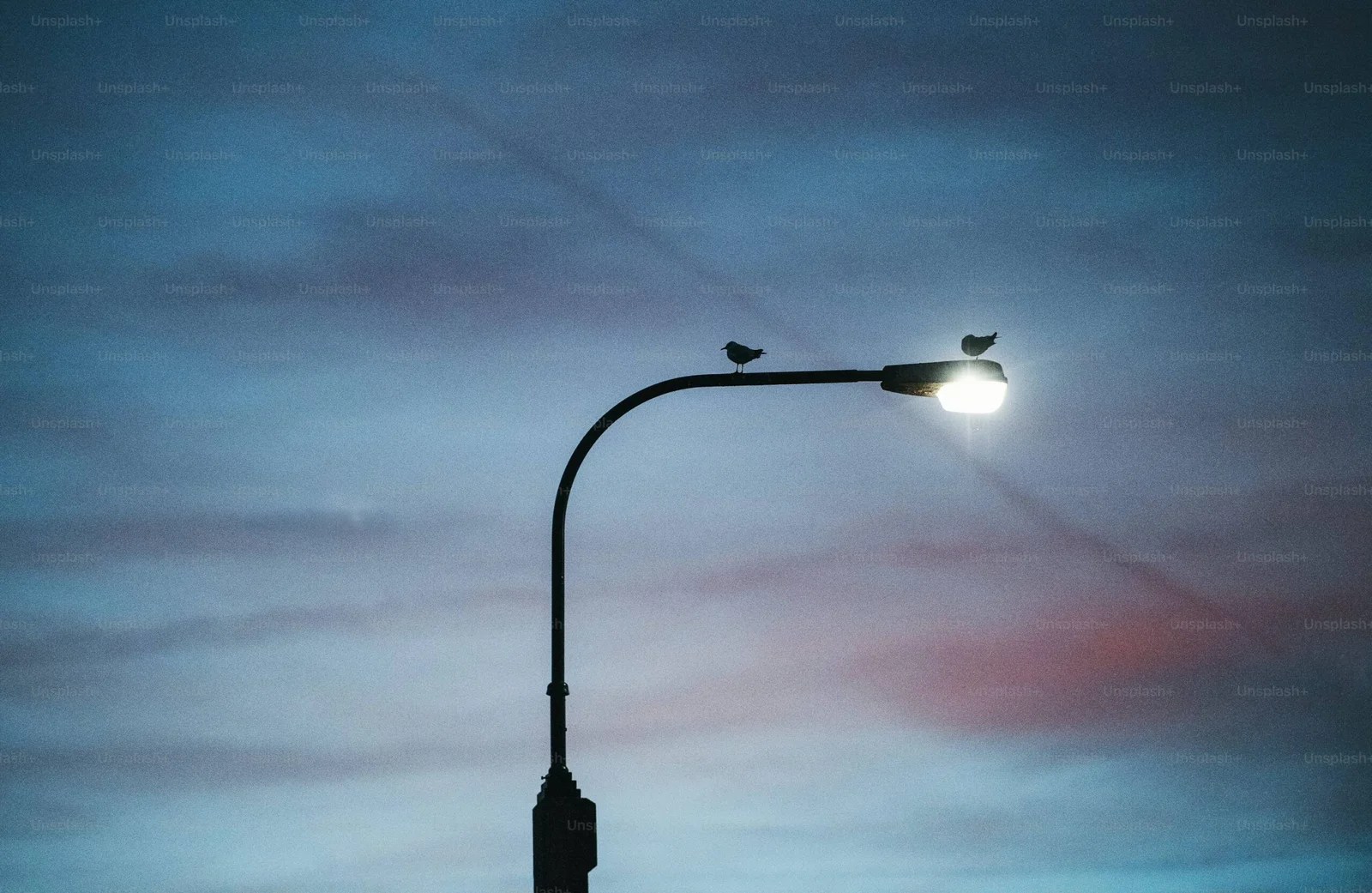 Street Light without focus