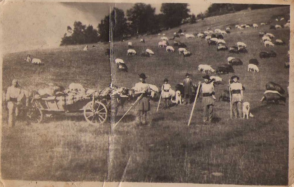 Pe Izvor.....dupa branza.....in 1950....