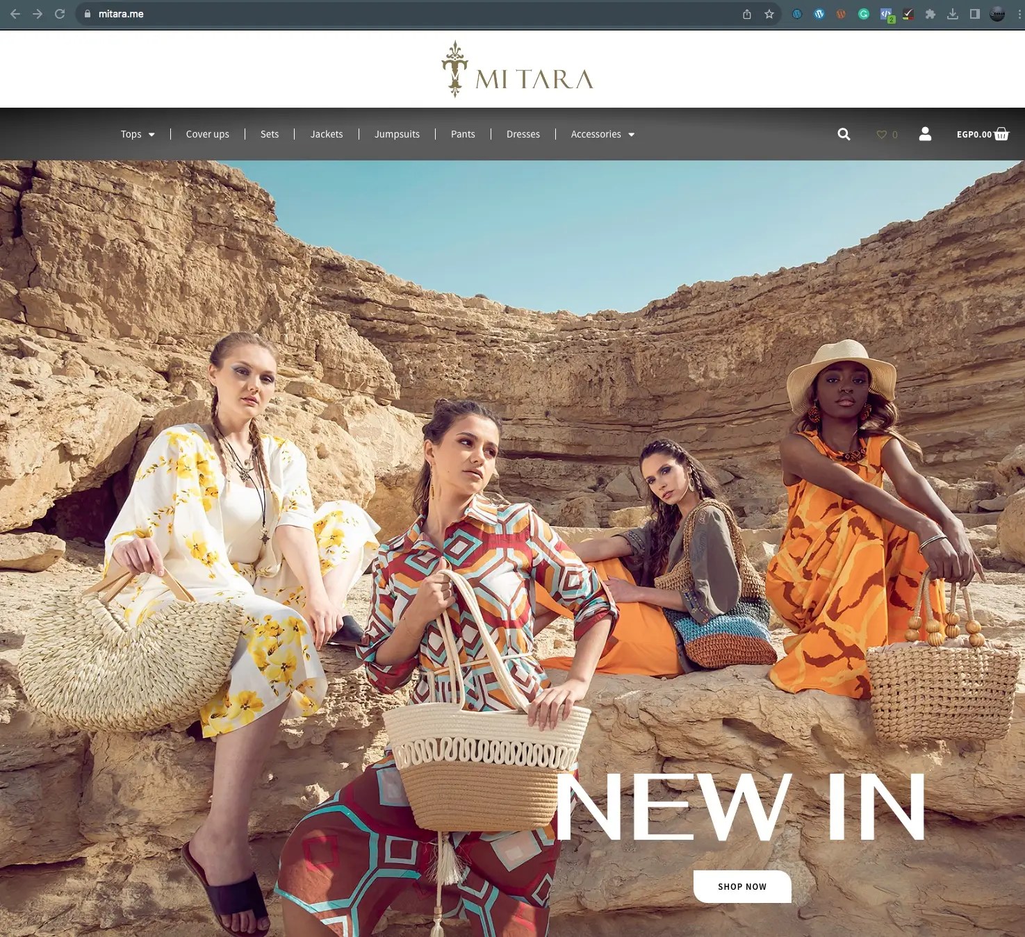 Website Development