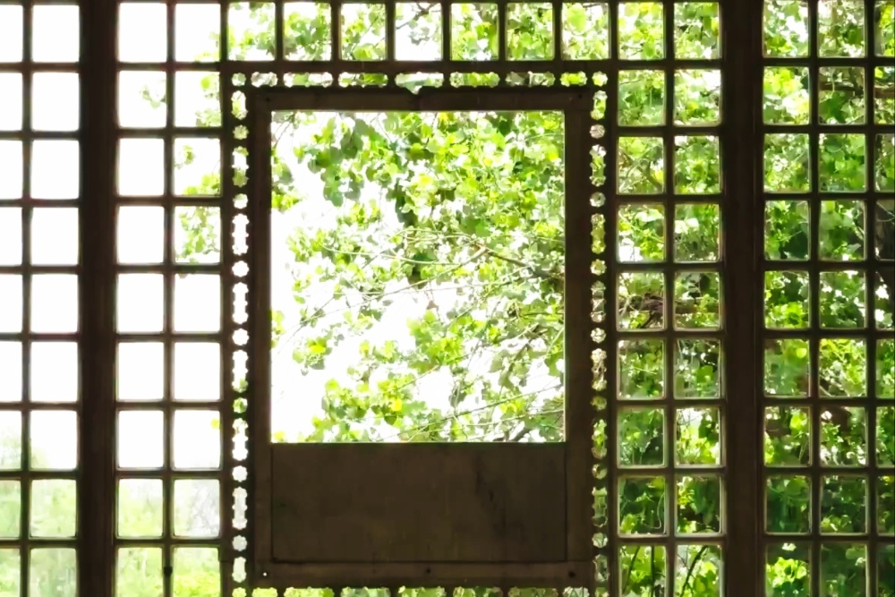 ‘Comedians in Bars,’ ‘Dispatch’ Lead Avani Films’ Non-Fiction Slate