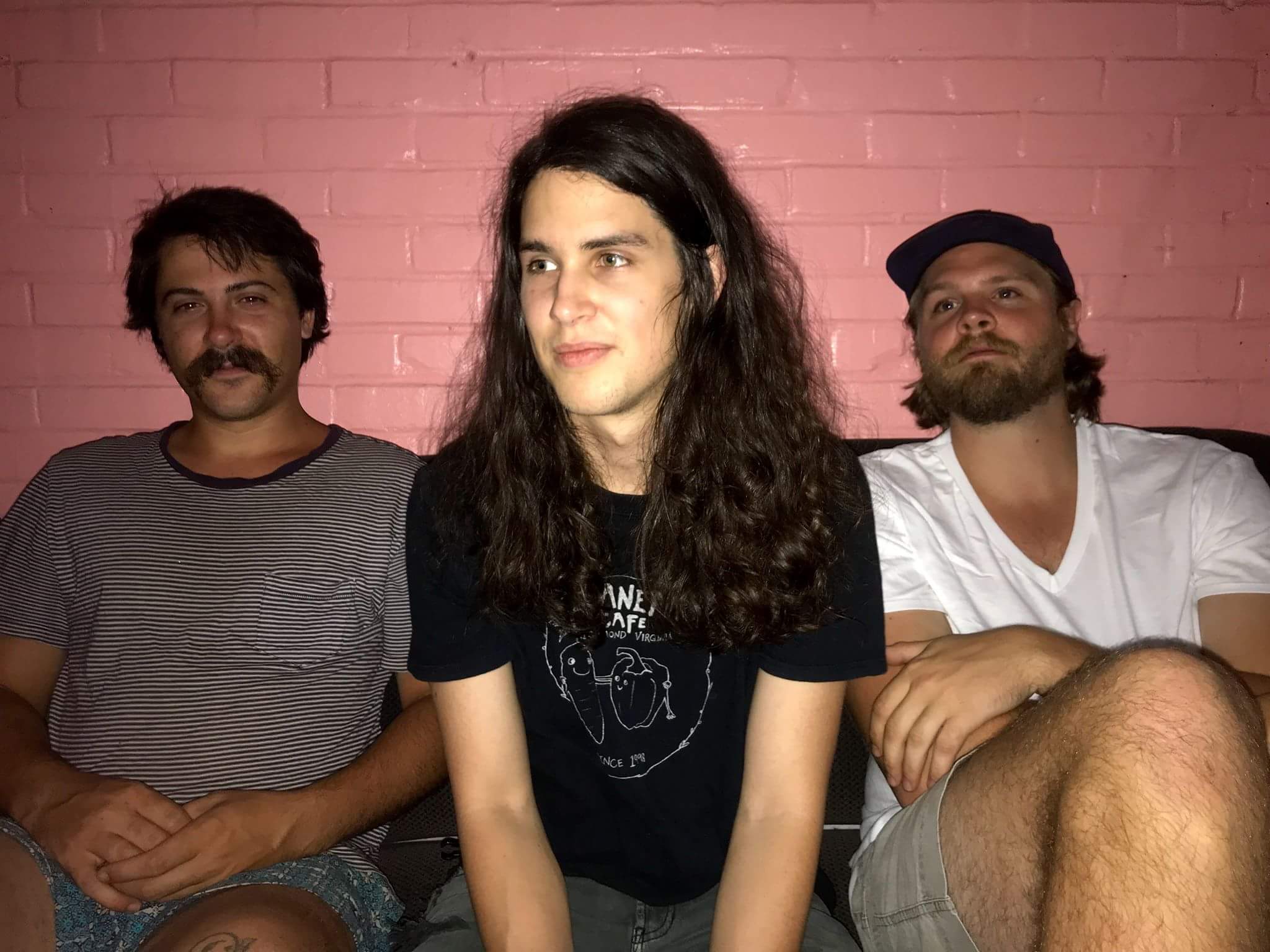 recluse raccoon press photo