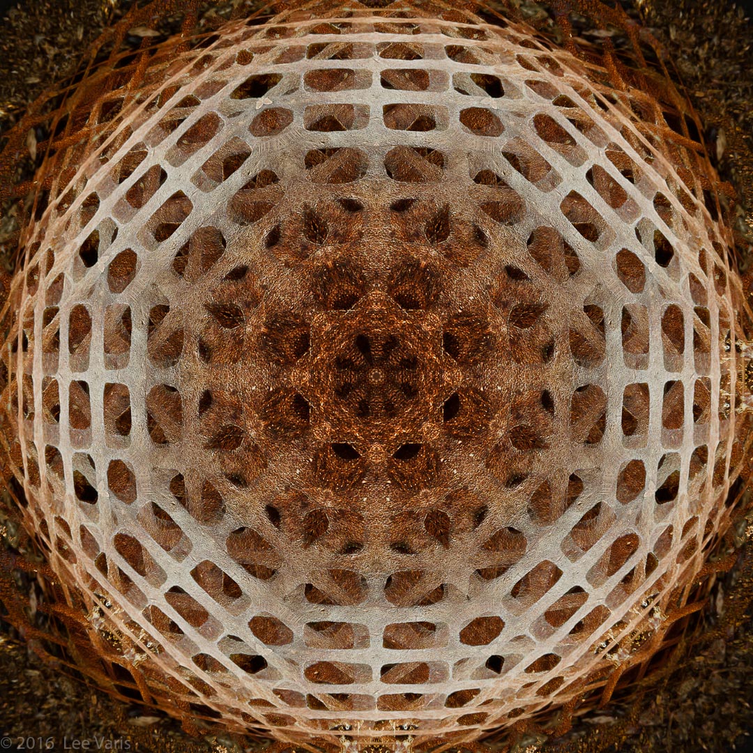 Rust_Mandala-5
