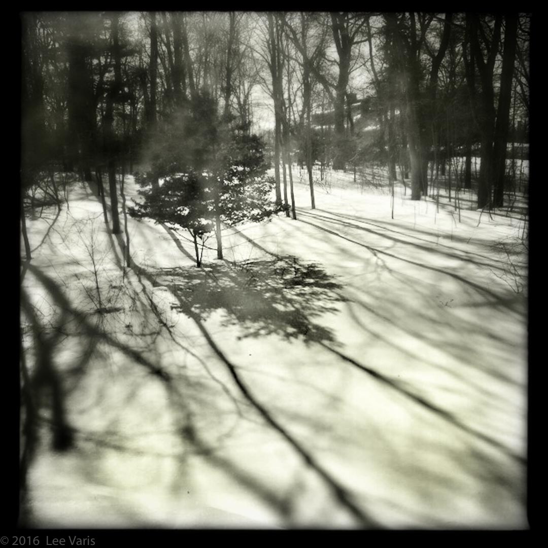 Varis_150220-2-6