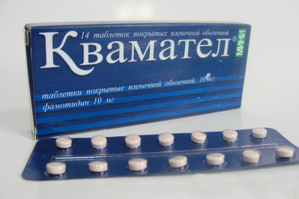 Квамател инструкция по применению для собак. Квамател для кошек и собак. Показания и противопоказания