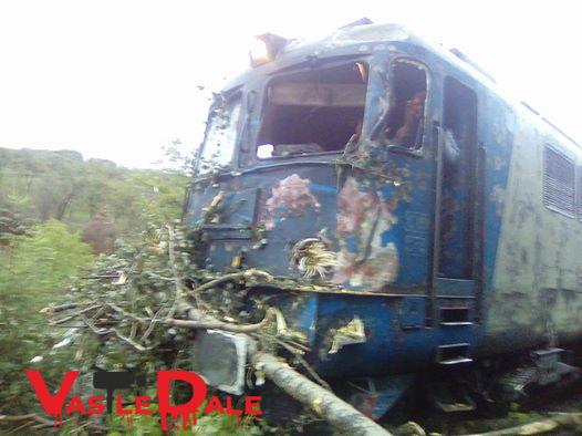 Sau printat pe suport de hârtie, la casele de bilete din cluj napoca, bistrița și oradea sau direct la șeful de tren, pentru validare (mai mult.). Infern Pe Calea Ferata Trenul Bucuresti Nord Baia Mare Blocat De Zeci De Copaci Rupti De Vant Foto Video Stiri Din Maramures Vasile Dale