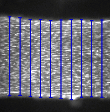 Fluorescence Example