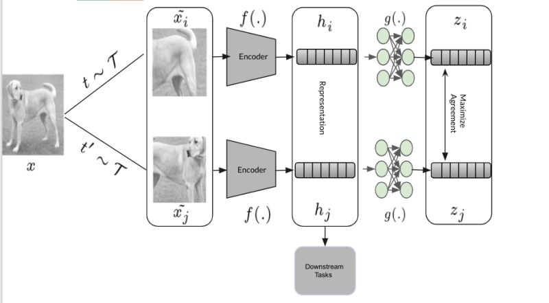 Simclr Visually Explained Vasudev Sharma - Abstract Illustrations - Gorgeous HD Collection